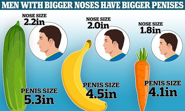 men-with-large-noses-tend-to-have-bigger-penises-study-reveals