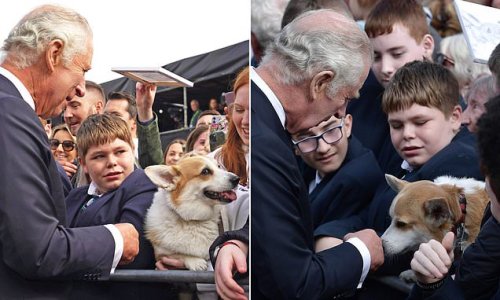 Paws to say hello! King Charles III pets a corgi after spotting his ...