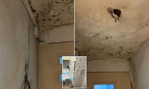 Grandmother, 69, is living in mould-infested home with water pouring from ceiling and no electricity 'after housing association failed to fix leak for 10 weeks'