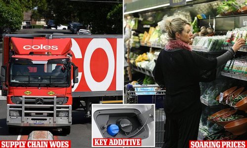 Warning Australia could be crippled by shortage of a critical ingredient that keeps trucks on the road - with the only factory in Australia that makes it about to close: 'The whole country will be in dire straits'