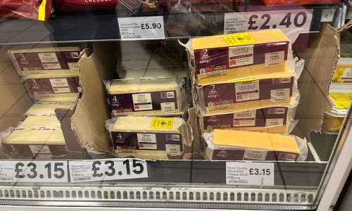 'This really is a sign of the times': Tesco is forced to put its security tags on its CHEESE amid fears cash-strapped cost-of-living crisis customers could try and steal it