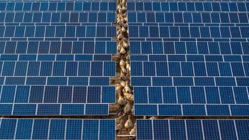 Revealed: China has secretly installed kill switches in solar panels sold to the West - which could see Beijing plunge its enemies into darkness in the event of WW3
