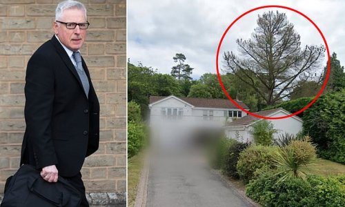 Father-of-two faces unlimited fine after he 'murdered' protected tree