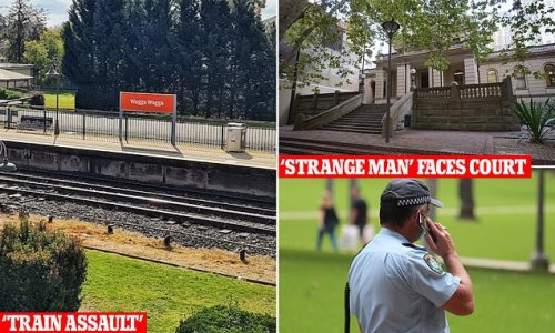 Seven-year-old girl 'sexually touched' by a strange man on NSW train