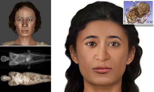 Meet The Worlds First Pregnant Ancient Egyptian Mummy Scientists Reconstruct The Face Of A 