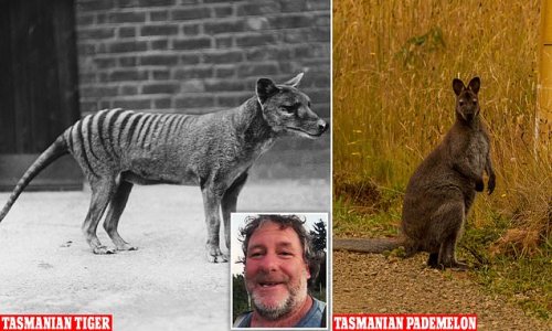 Australian man claims to have photos of a family of Tasmanian Tigers