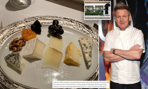 Now diner slams Gordon Ramsay's £20-a-head cheese board at his Michelin-starred Chelsea restaurant as 'insulting' and said the canapés were 'verging on boring' in a damning Tripadvisor review