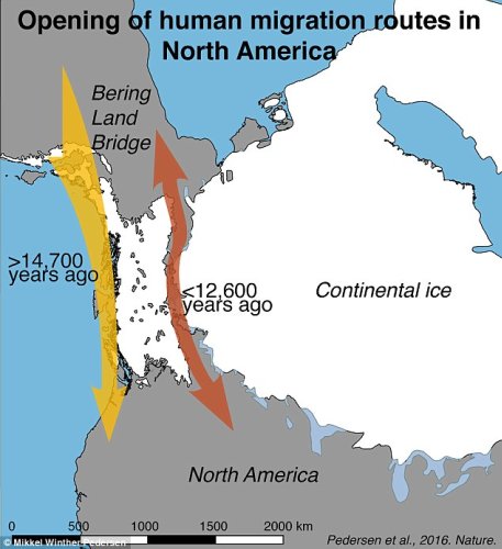 New study claims the theory of how humans populated America is WRONG