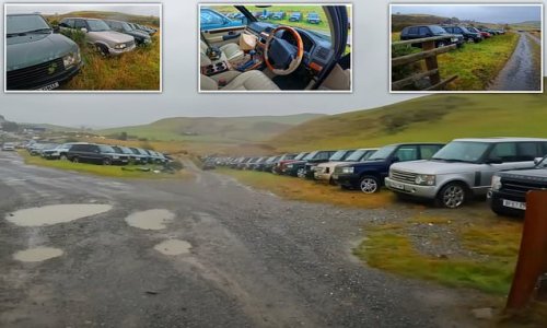 Inside the Range Rover graveyard hidden in the Welsh countryside where hundreds of abandoned 4x4s are left to rust