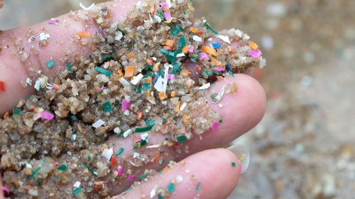 Scientists create plant-based plastic that doesn't create cancer-causing microplastics because 97%...