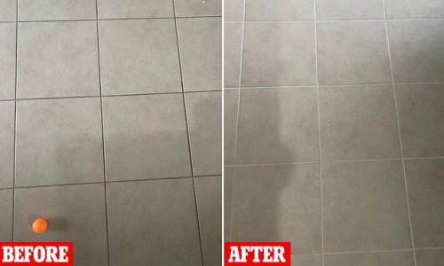 Customer's incredible grout transformation using an affordable Bunnings buy: 'This is all you need'
