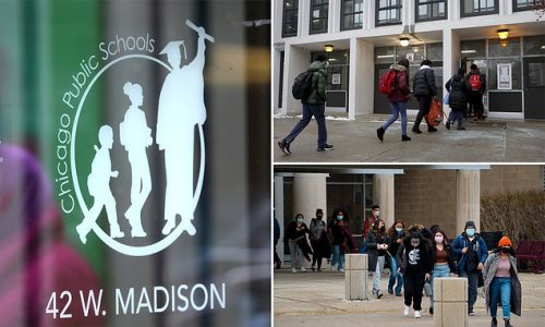Major data breach as hackers steal the personal data of more than half a MILLION school students and staff in Chicago - including four years of names, employee identification numbers and emails