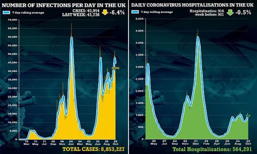 UK's daily Covid cases fall for 3rd day in row and admissions plateau
