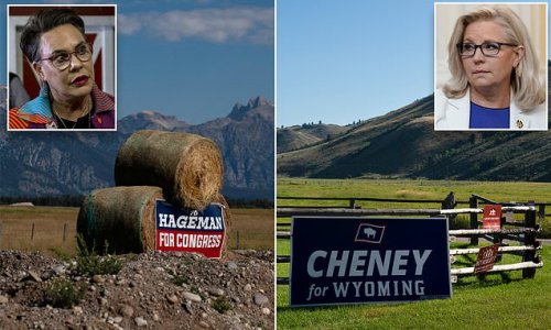 Liz Cheney looks poised to lose her House seat to Trump-backed Harriet Hageman in Wyoming's primary Tuesday - as ex-president calls into tele-rally and says 'the whole world is watching'
