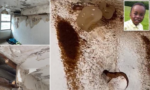 Shocking photos of family's three-bed home with mushrooms and SEWAGE seeping through walls: Mother and her children are forced to live in mould-infested Islington Council house for a year - as Gove launches crackdown in wake of Awaab Ishak death