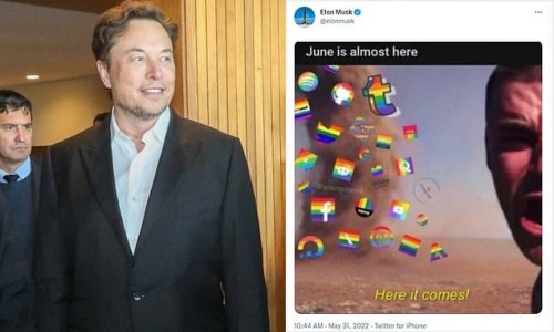 Elon Musk mocks TWITTER and other tech giants for paying lip-service to LGBT rights by changing their logos to rainbows during Pride Month