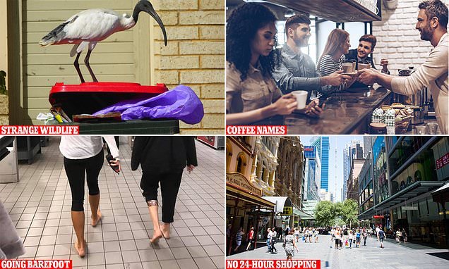 Bizarre coffee names, going barefoot and 'bin chickens': Americans living in Australia reveal their biggest cultural shocks Down Under
