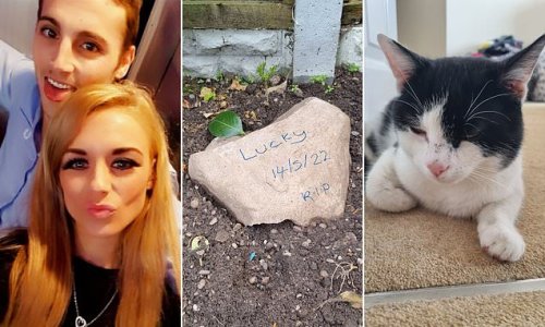 Couple who were devastated after burying their beloved cat who was hit by a car discovered they had laid the WRONG moggy to rest when he strolled home the next day