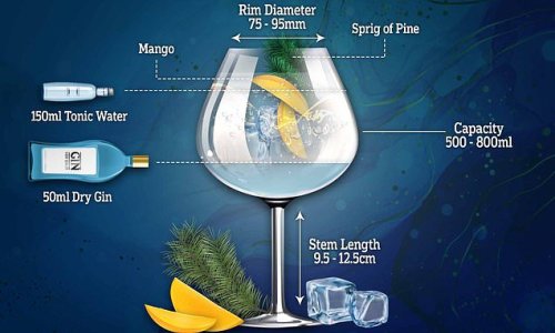 Ice and a slice? Scientist reveals the recipe for the perfect G&T this World Gin Day - and the one thing you should NEVER use
