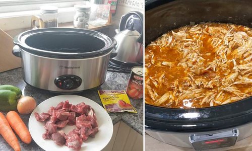 'It's great in burritos and enchiladas': Home cook's mouthwatering recipe for slow cooked pulled chicken is the ideal dish for busy families