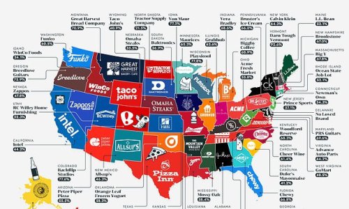 Fascinating map highlights the most beloved local consumer brands in EVERY state of America - so what does it say about where YOU live?