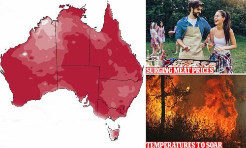 Soaring food prices, bushfires and a VERY expensive Sunday roast: How the WORST drought in 400 years will affect YOU