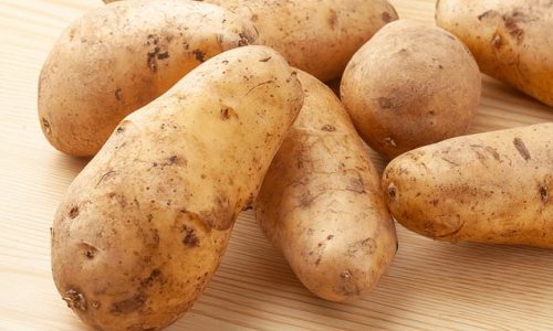 A mash made in heaven! POTATOES can help you lose weight, scientists say