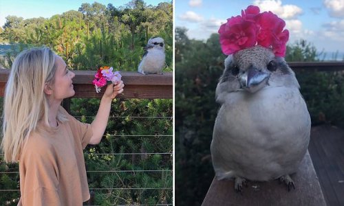 Australian woman shot to TikTok fame posting videos of country's birds