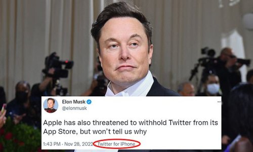 'Like watching the Hindenburg in slow motion': Elon Musk brutally mocked on Twitter for tweeting complaints about Apple's App Store fees from his iPhone