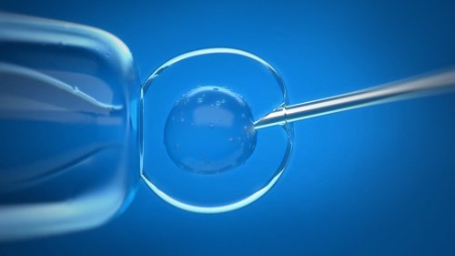 The astonishing effect of stem cell implants - as groundbreaking treatment 'transforms' life for...