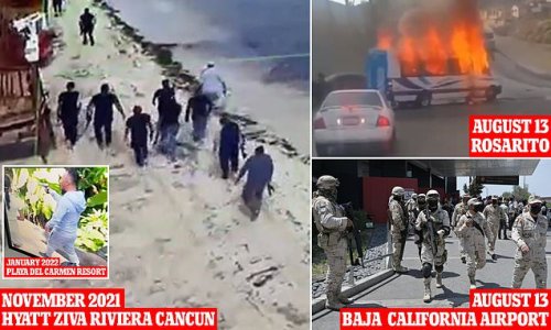 US tourists are being urged NOT to visit Mexico vacation spots as cartel violence is putting visitors in crossfire as international arrivals eclipse pre-pandemic totals