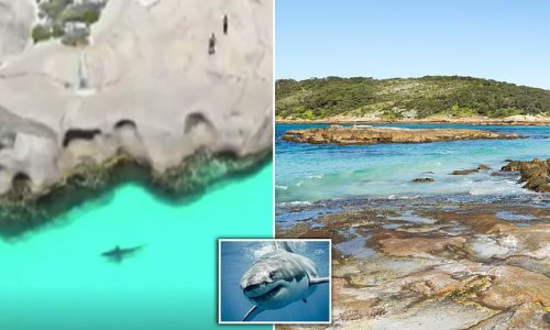 Swimmers stranded on famous tourist rock as giant shark circles below