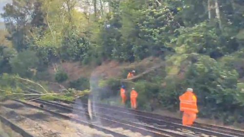 Gale force winds spark commuter chaos: Fallen trees block rail lines out of London as firm issues...