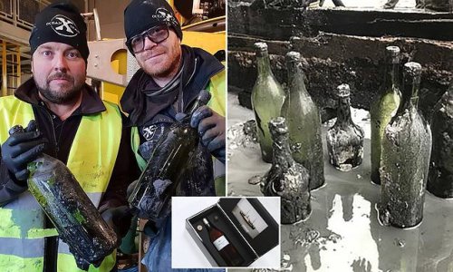 300 bottles of Cognac recovered from ship sunk in WWI could fetch nearly £8,000 EACH: French shipment on Swedish steamer bound for tsarist Russia ended up at bottom of the Baltic Sea after German U-boat strike