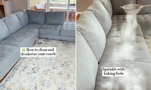 Why you need to clean and deodorise your couch TODAY