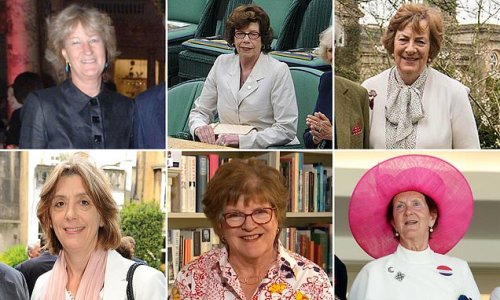 The new 'Head Girls'! The 6 friends Queen Consort Camilla will rely on as she ditches 'ladies-in-waiting' role - including the mother of the friend who introduced Harry and Meghan