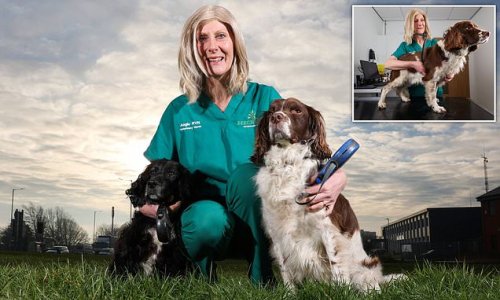 I'm a veterinary nurse and a Labrador saved my life when he headbutted me and revealed a fast-growing form of breast cancer