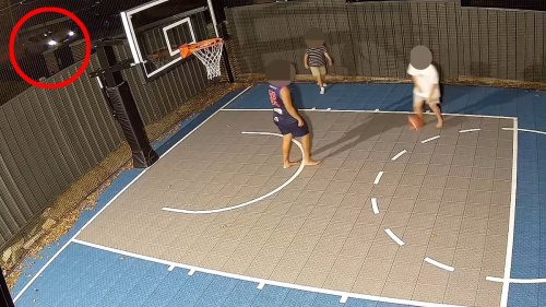 Shocking moment Eddie Betts' kids cop vile racist slurs while playing basketball in their back yard:...