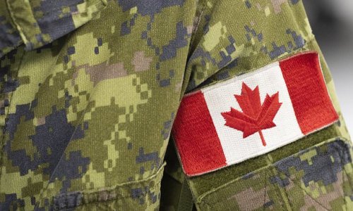 Canadian veteran suffering from PTSD and a traumatic brain injury was ...