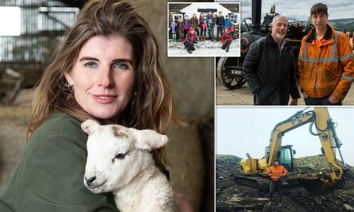Our RIVAL Yorkshire Farm shows: How TV shepherdess Amanda Owen is in ratings war with ex-husband Clive and son Reuben after pair launched their own CH5 reality series
