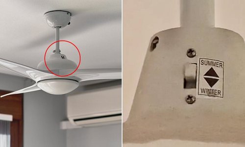 The little-known button on ceiling fans that EVERYONE needs to know about ahead of summer: 'This is a game-changer'