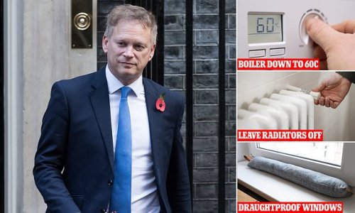 Want to cut your gas and electricity bills this winter? Turn your boiler down to 60C, leave radiators off in empty rooms, and draughtproof windows and doors, Britons will be told as ministers launch £1bn energy efficiency drive
