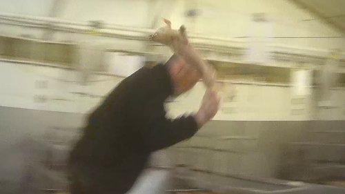 EXCLUSIVEFactory farm supplying Tesco, Sainsbury's and Asda where helpless piglets are beaten to death: Horrific abuse carried out by sadistic workers is laid bare as supermarket giants cut ties with meat supplier