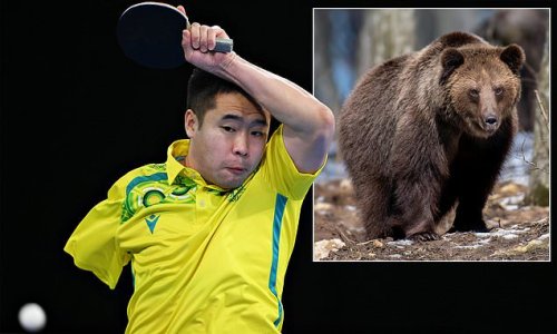Aussie chasing glory in table tennis at the Commonwealth Games had his arm bitten off by a BEAR when he was just five years old - but he's more scared of sharks after battling back to win multiple gold medals