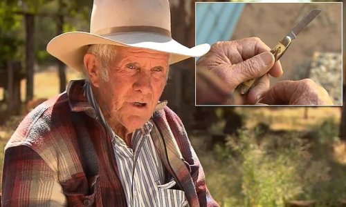 True blue Aussie bushman is fined $100 for carrying a POCKET KNIFE
