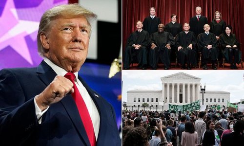 Trump says Roe v Wade was overturned because he 'delivered on everything as promised': Ex-President chides 'radical left Democrats' and 'fake news media' in statement taking credit for historic Supreme Court vote