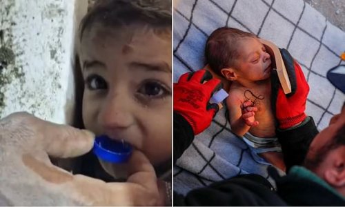 Little boy sips water from a bottle cap as he is rescued, a baby is plucked from rubble... and even Strawberry the cat is saved! Even as death toll hits 20,000, incredible earthquake survival stories continue to emerge