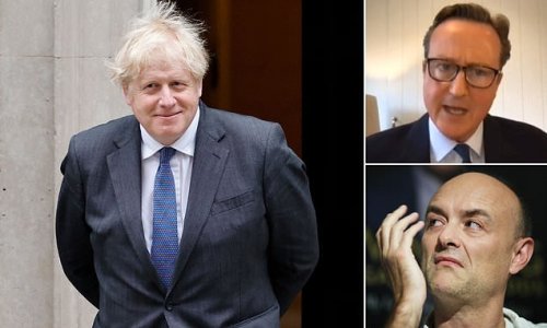 Dominic Cummings says people underestimate 'complex' Boris Johnson