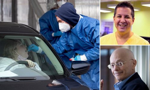 EXCLUSIVE: Long COVID expert says the world is in 'deep trouble' and millions may suffer from debilitating physical and cognitive issues for YEARS after being infected