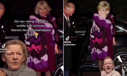 Grandson photoshops Diana's head onto Duchess of Cornwall outfits